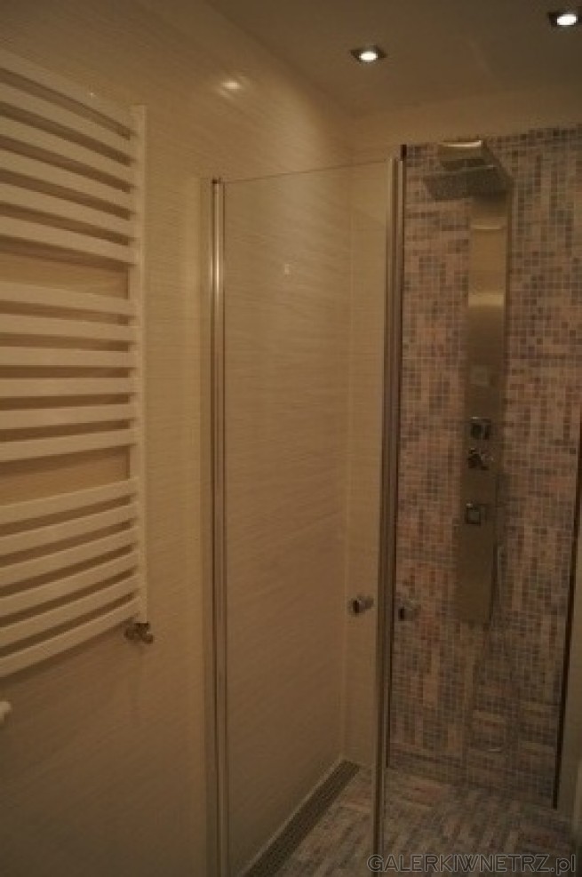Kabina prysznica bez brodzika. Na podłodze mozaika. Na ścianie z panelem prysznicowa ...
